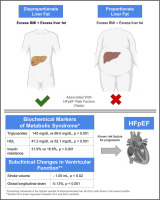 Association of Disproportionate Liver Fat with Markers of Heart Failure: The Multi-Ethnic Study of Atherosclerosis