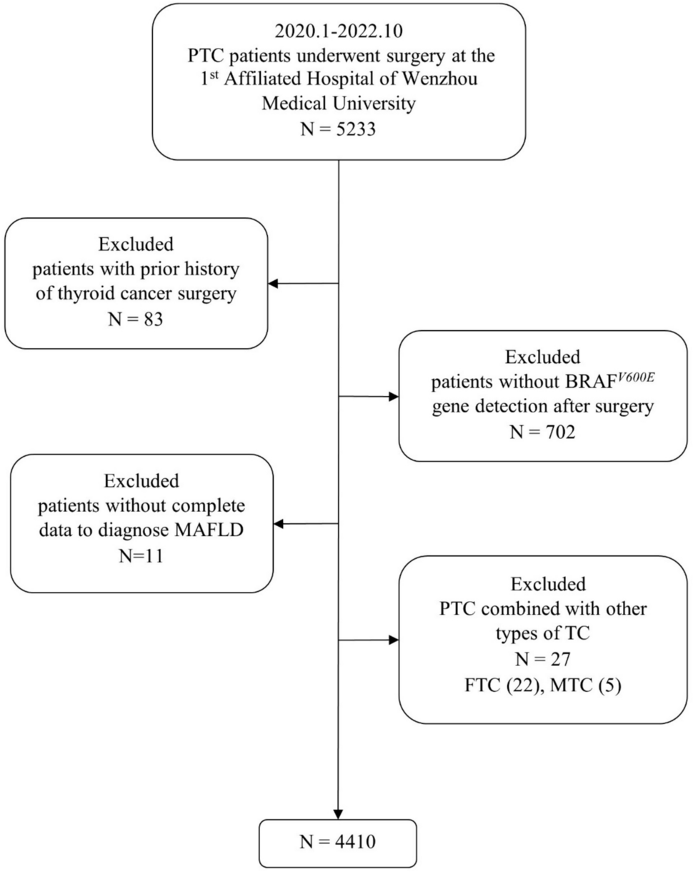 Interplay of metabolic dysfunction-associated fatty liver disease and papillary thyroid carcinoma: insights from a Chinese cohort