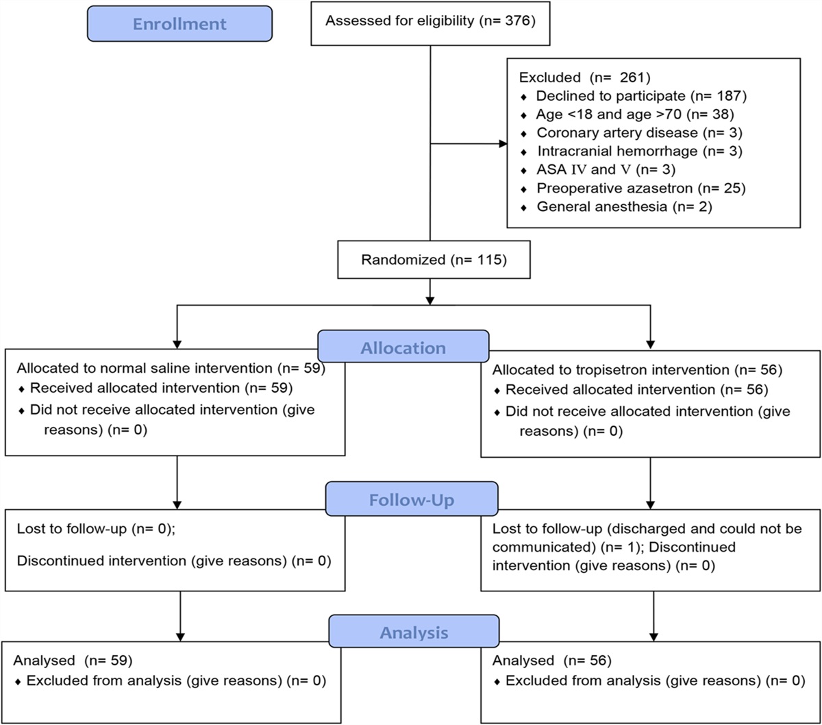 Evaluation of the effect of intraoperative tropisetron on postoperative rebound pain after brachial plexus block: a randomized controlled trial