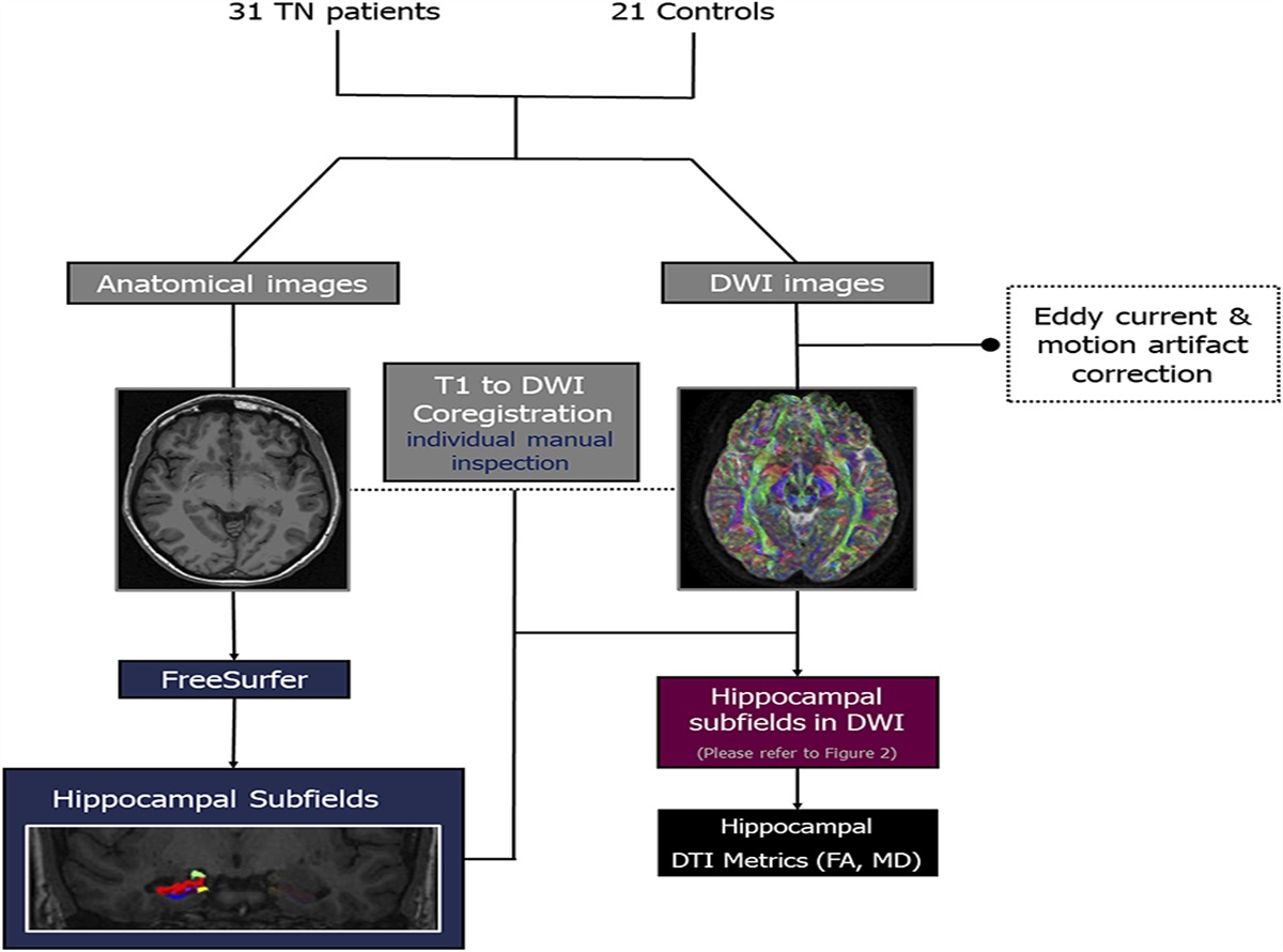 Hippocampus diffusivity abnormalities in classical trigeminal neuralgia