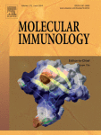 IL-17 in type II diabetes mellitus (T2DM) immunopathogenesis and complications; molecular approaches