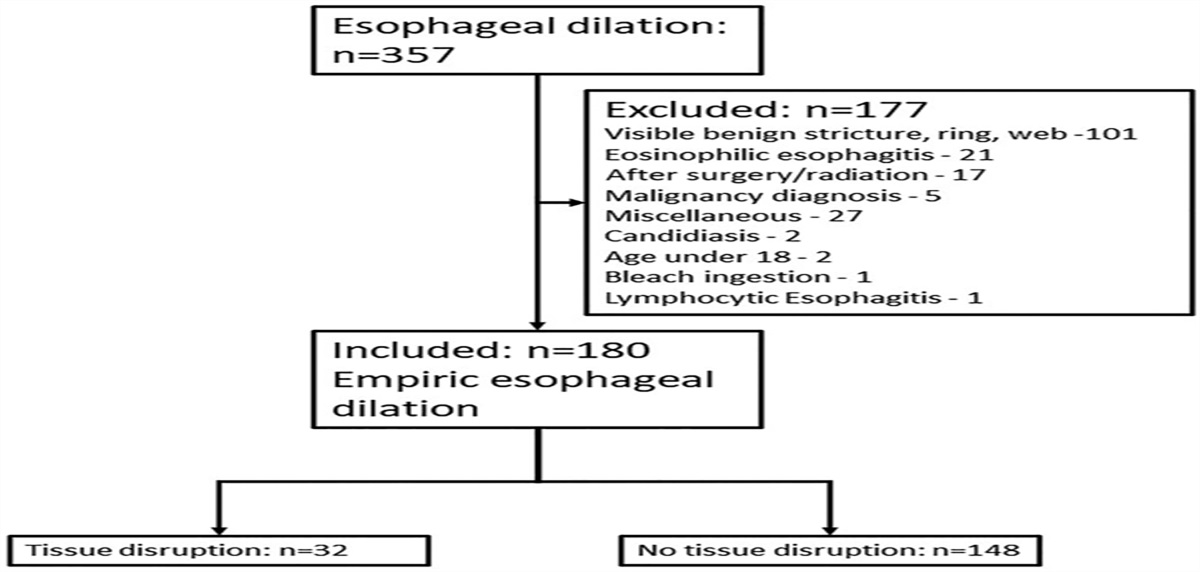Large-Caliber Empiric Esophageal Dilation Results in Sustained Improvement for Selected Patients With Nonobstructive Dysphagia