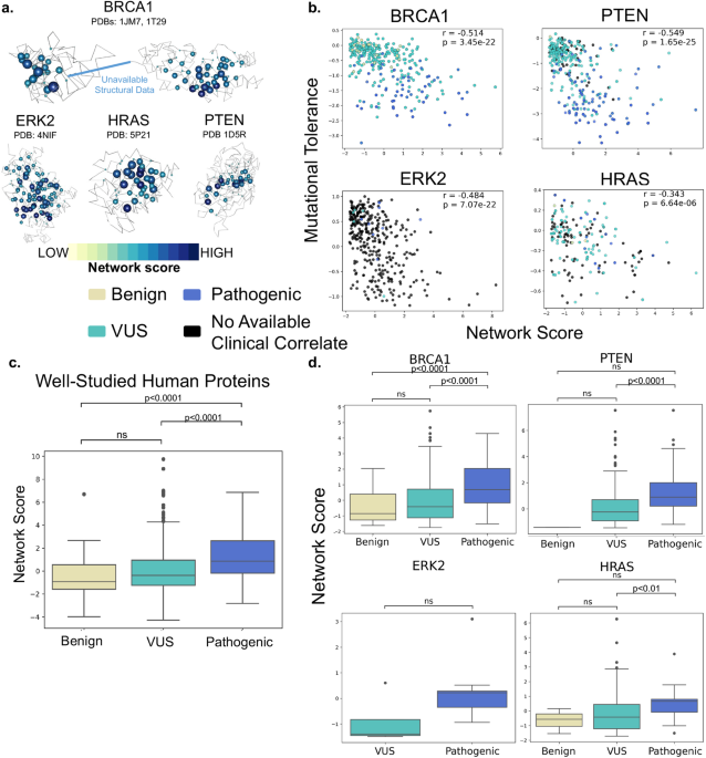Structure-based network analysis predicts pathogenic variants in human proteins associated with inherited retinal disease