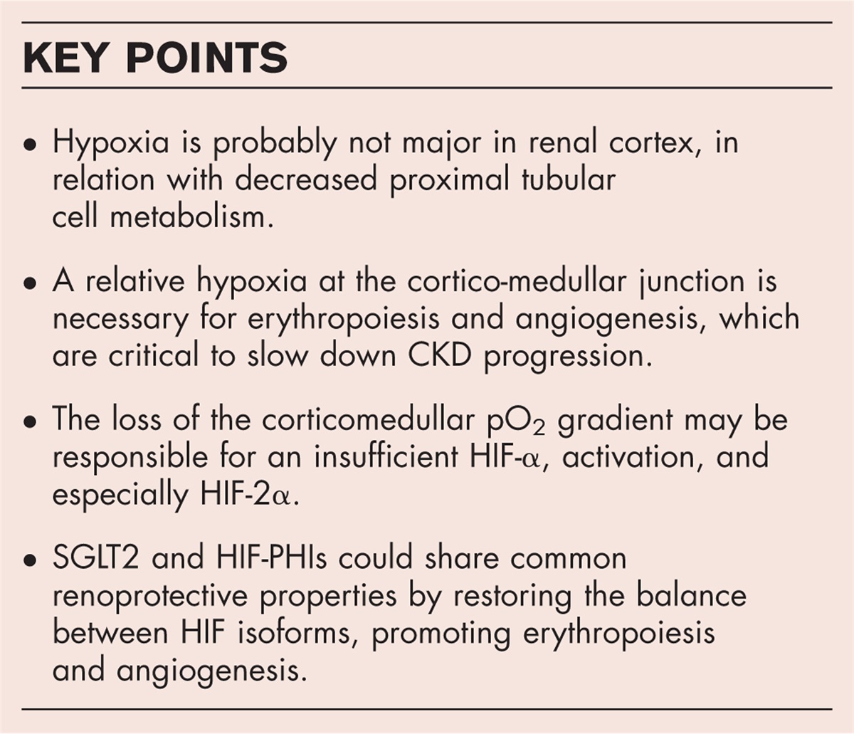 The role of hypoxia in chronic kidney disease: a nuanced perspective