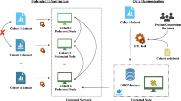 Data harmonization and federated learning for multi-cohort dementia research using the OMOP common data model: A Netherlands consortium of dementia cohorts case study