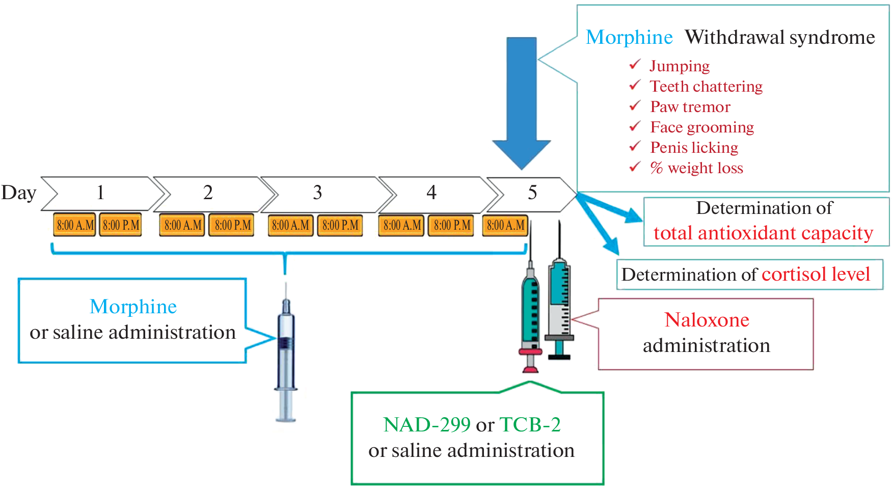 Effects of 5-HT1A Receptor Antagonist and 5-HT2A Receptor Agonist on Morphine Withdrawal