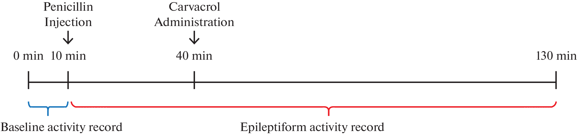 The Anti-Convulsant Effects of Carvacrol in Penicillin- and Pentylenetetrazole-Induced Rat Models of Epilepsy