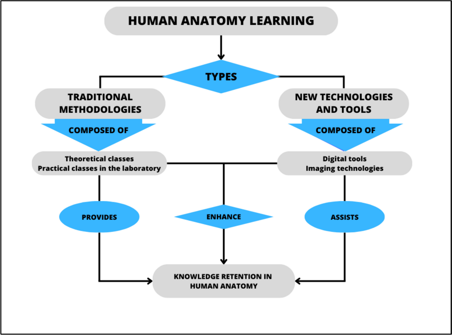 Technologies for Studying and Teaching Human Anatomy: Implications in Academic Education