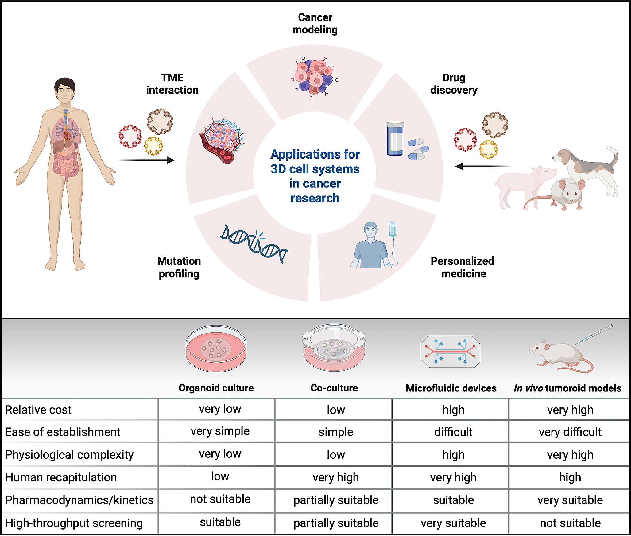 A systematic review on the culture methods and applications of 3D tumoroids for cancer research and personalized medicine