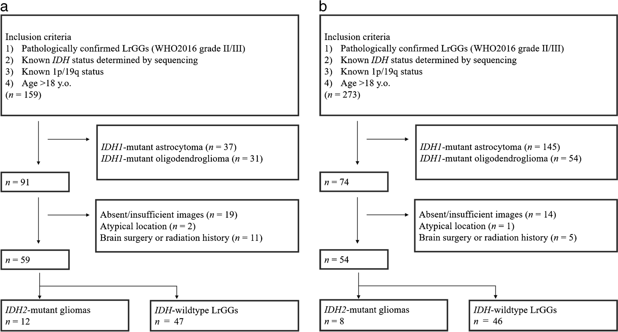 Clinical and imaging characteristics of supratentorial glioma with IDH2 mutation