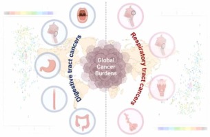 Global, regional, and national cancer burdens of respiratory and digestive tracts in 1990–2044: A cross-sectional and age-period-cohort forecast study