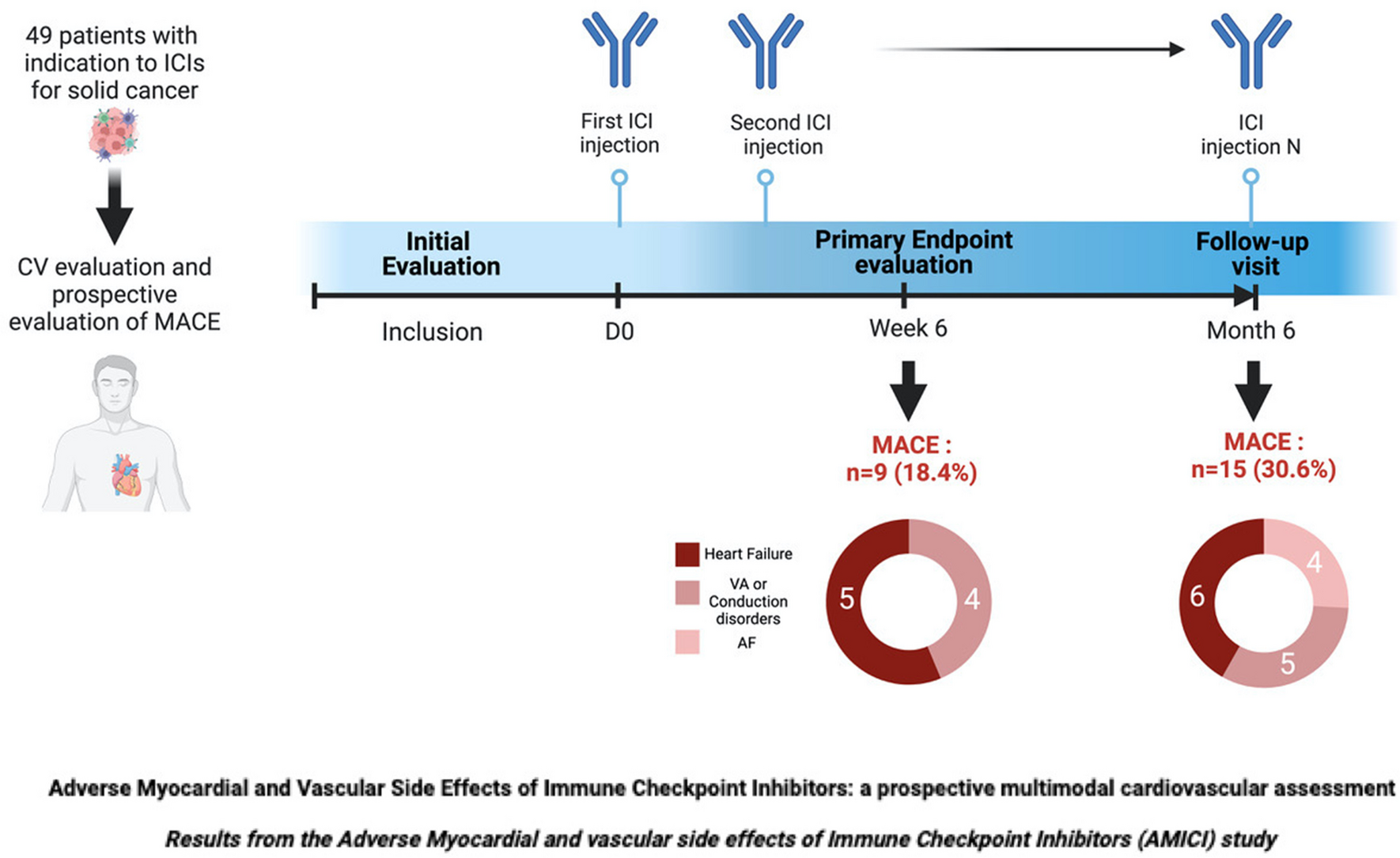 Adverse myocardial and vascular side effects of immune checkpoint inhibitors: a prospective multimodal cardiovascular assessment
