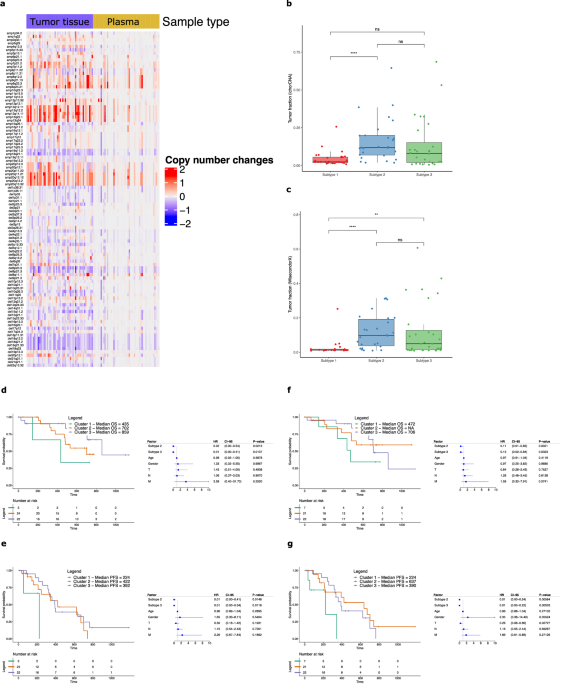 Analysis of cell free DNA to predict outcome to bevacizumab therapy in colorectal cancer patients