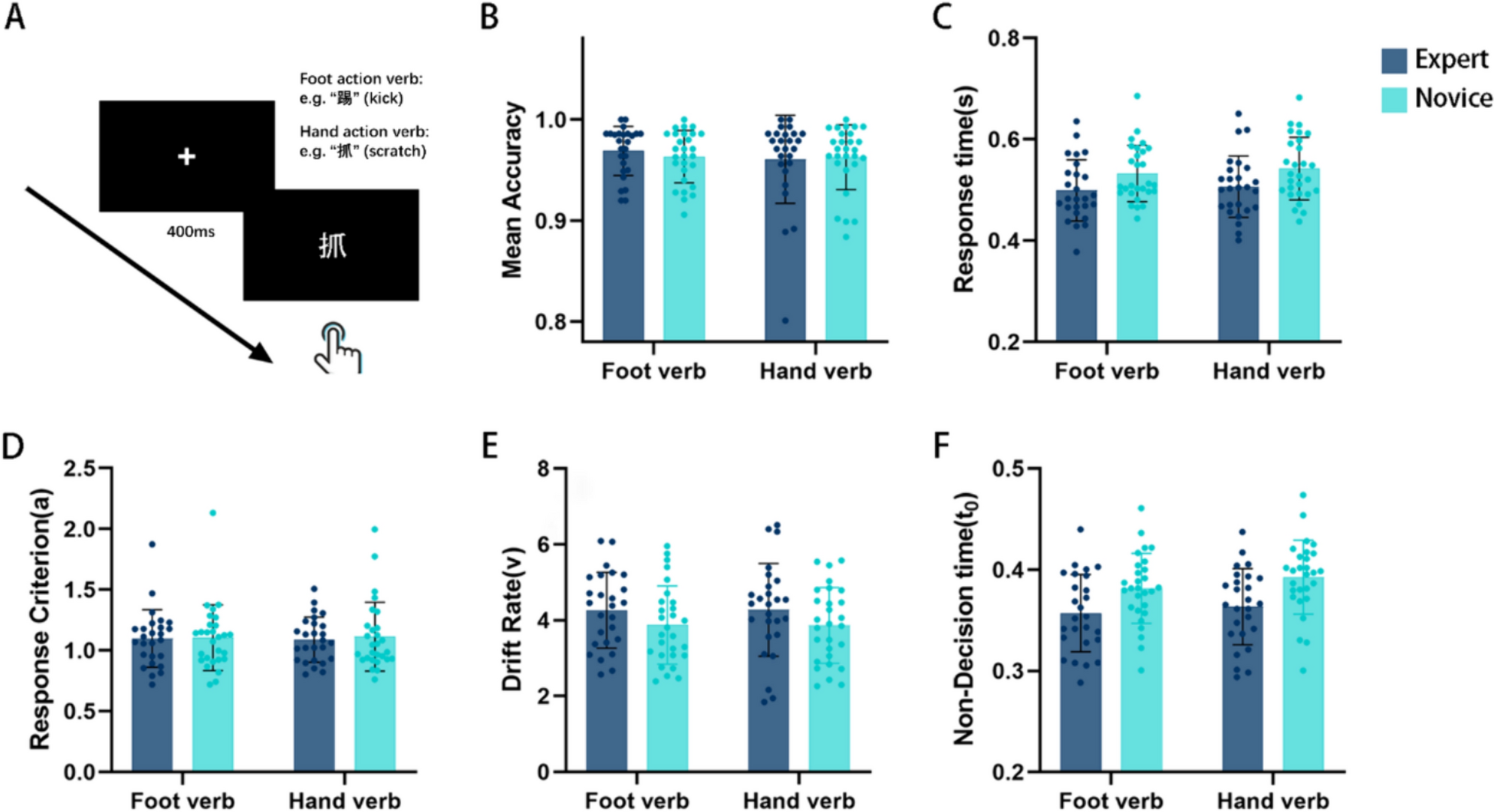 Long-term motor training enhances functional connectivity between semantic and motor regions in an effector-specific manner: evidence from elite female football athletes