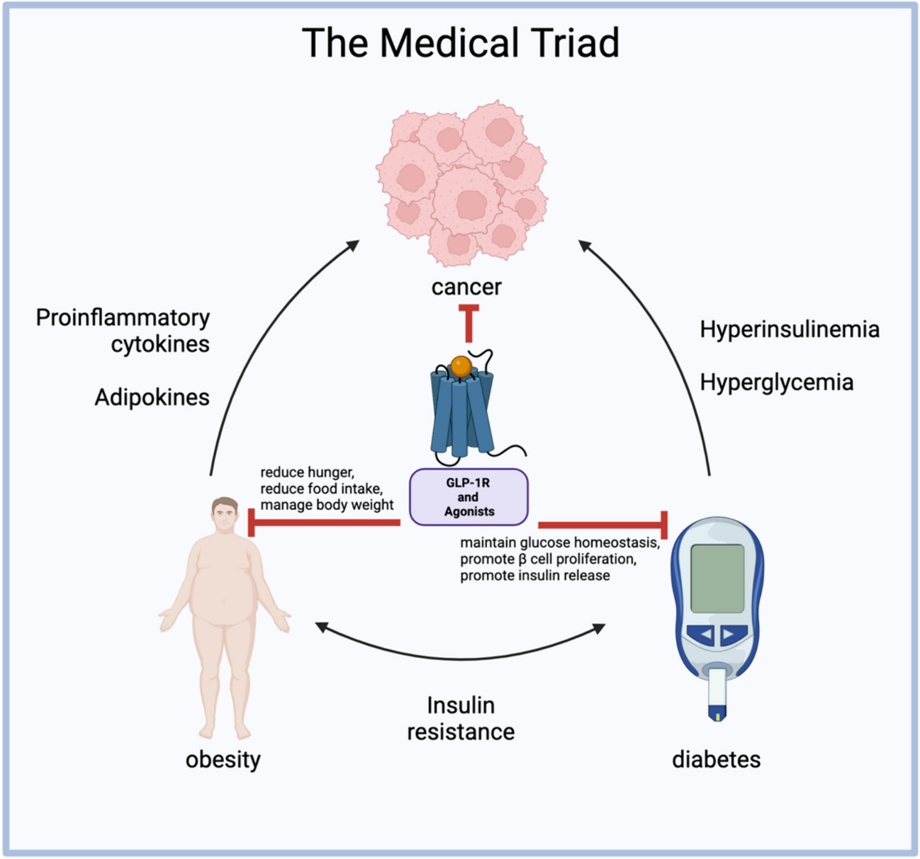 The effect of GLP-1R agonists on the medical triad of obesity, diabetes, and cancer