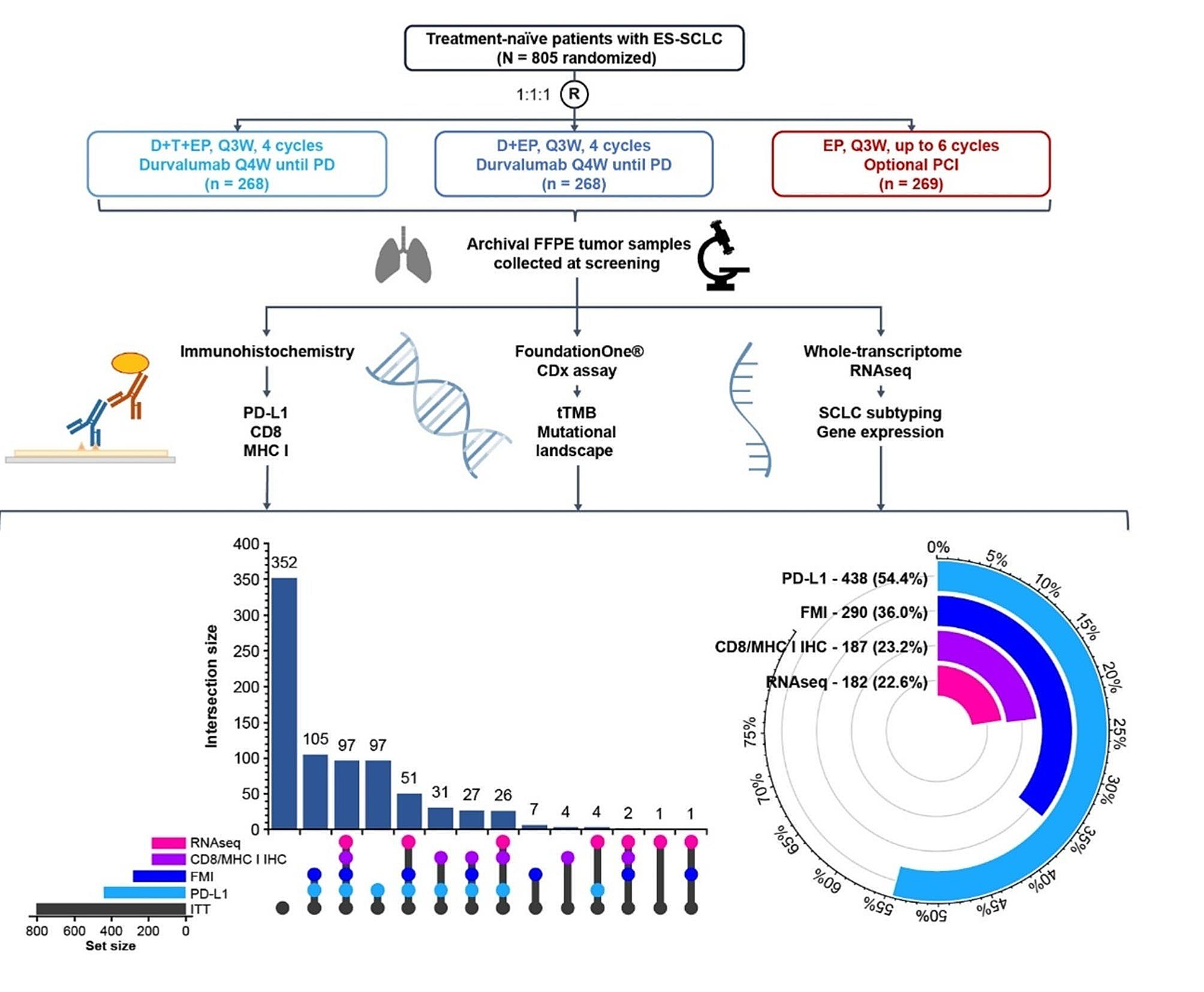 Molecular classification and biomarkers of outcome with immunotherapy in extensive-stage small-cell lung cancer: analyses of the CASPIAN phase 3 study