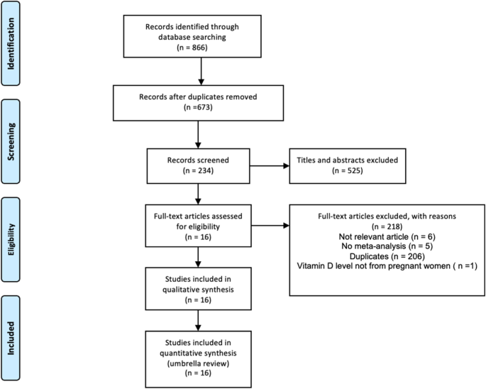 Effects of vitamin D in pregnancy on maternal and offspring health-related outcomes: An umbrella review of systematic review and meta-analyses