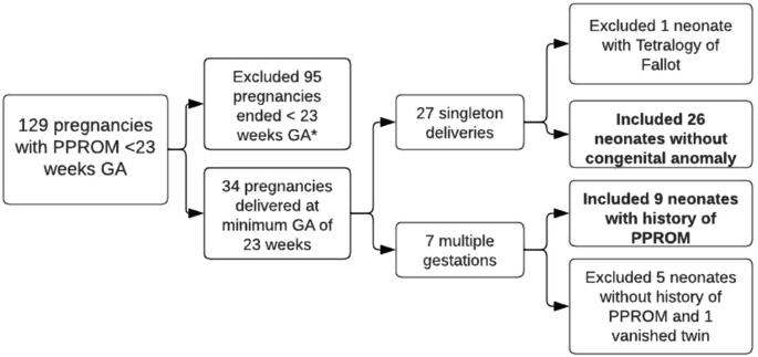 Respiratory outcomes of neonates born after previable premature rupture of membranes and treated with gentle ventilation