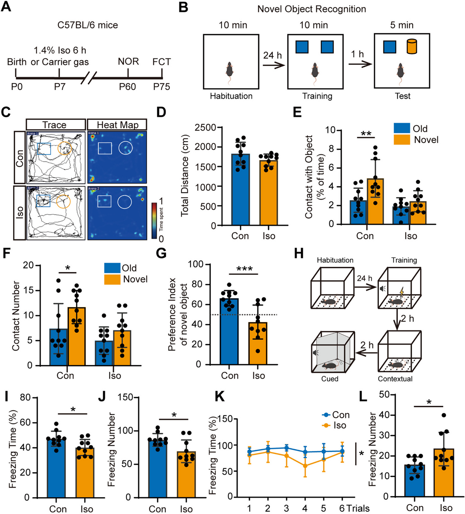 Fer-1 Protects against Isoflurane-Induced Ferroptosis in Astrocytes and Cognitive Impairment in Neonatal Mice