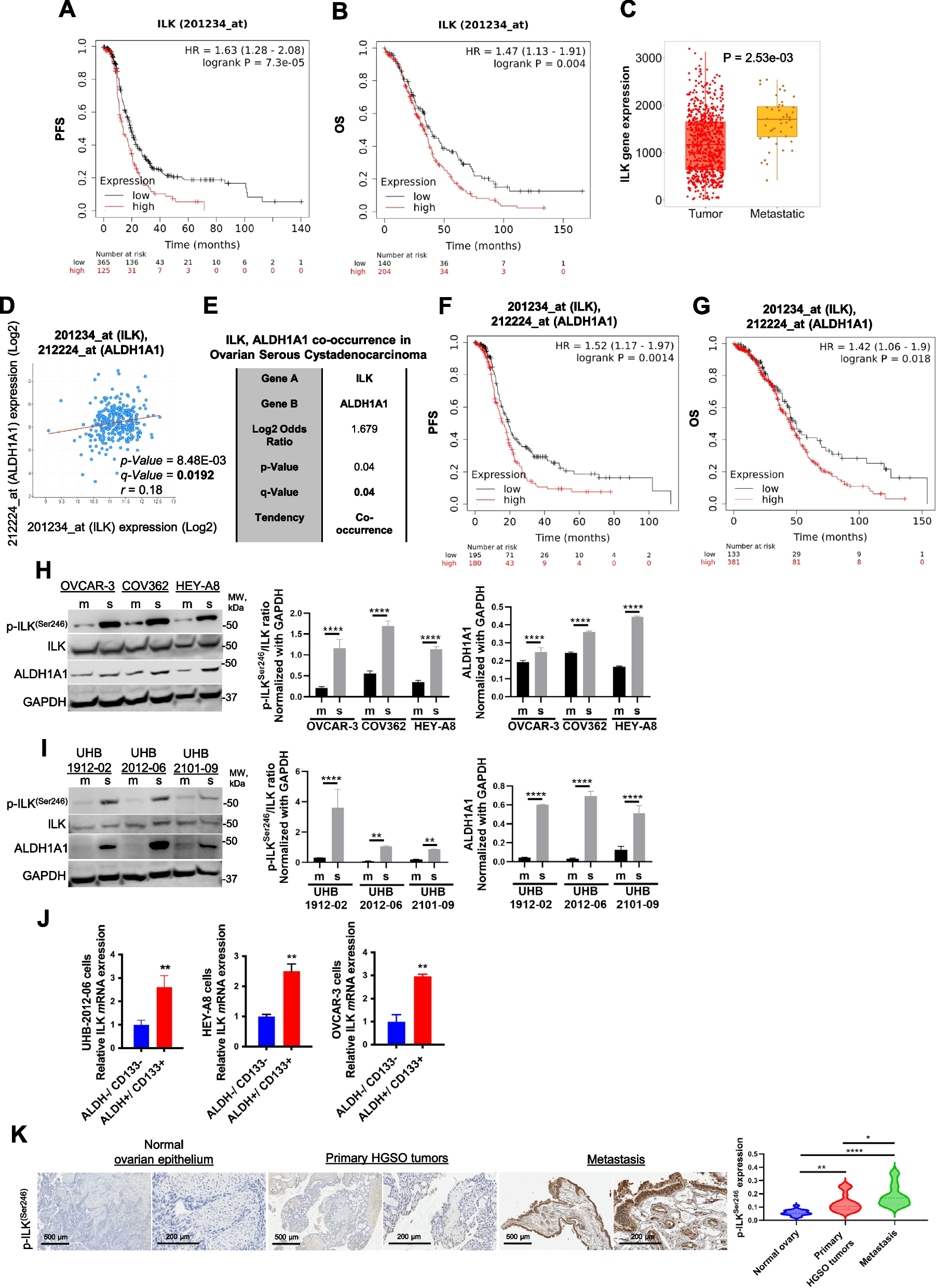 Integrin-linked kinase-frizzled 7 interaction maintains cancer stem cells to drive platinum resistance in ovarian cancer