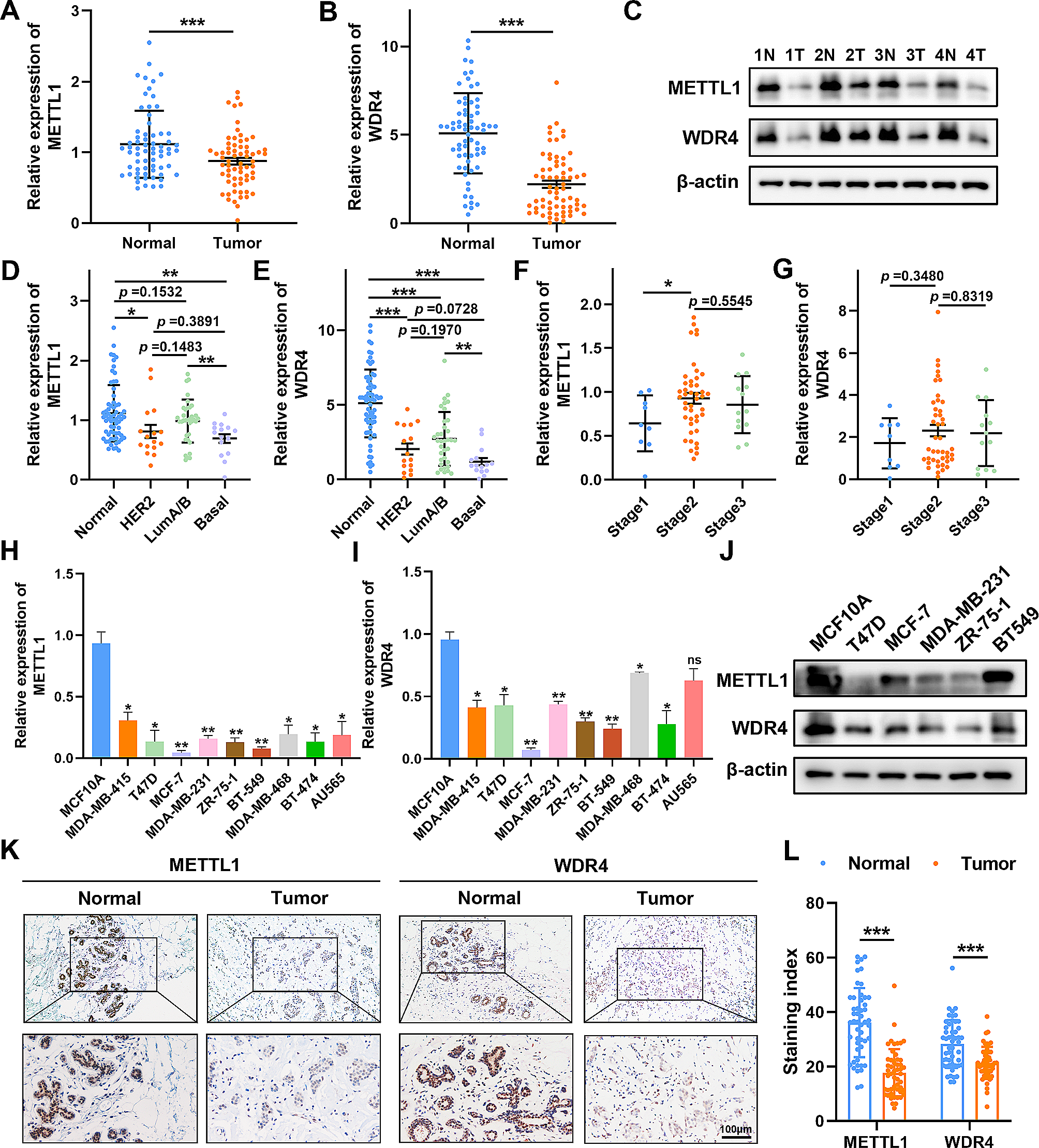 METTL1-mediated tRNA m7G methylation and translational dysfunction restricts breast cancer tumorigenesis by fueling cell cycle blockade