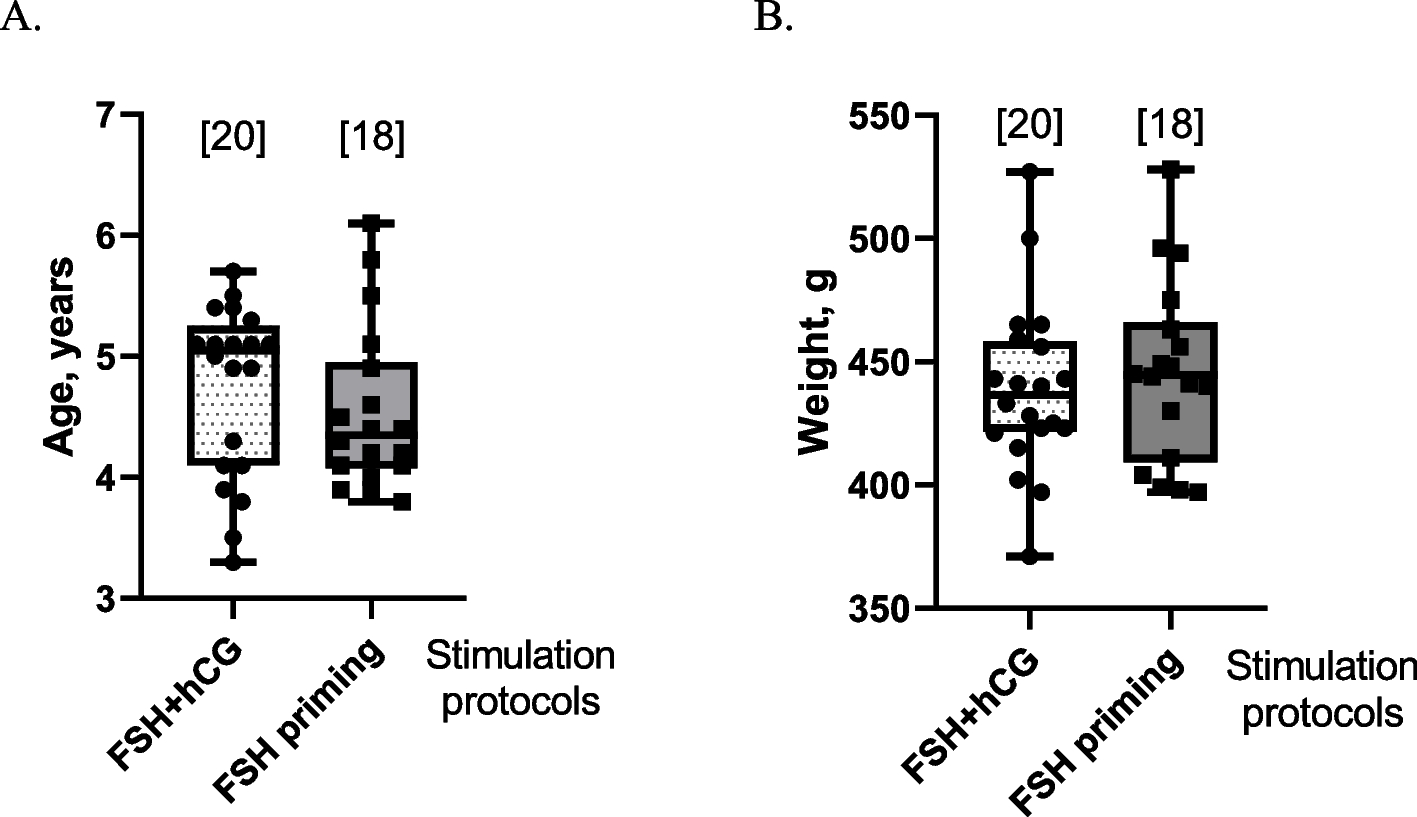 In vitro matured oocytes have a higher developmental potential than in vivo matured oocytes after hormonal ovarian stimulation in Callithrix jacchus