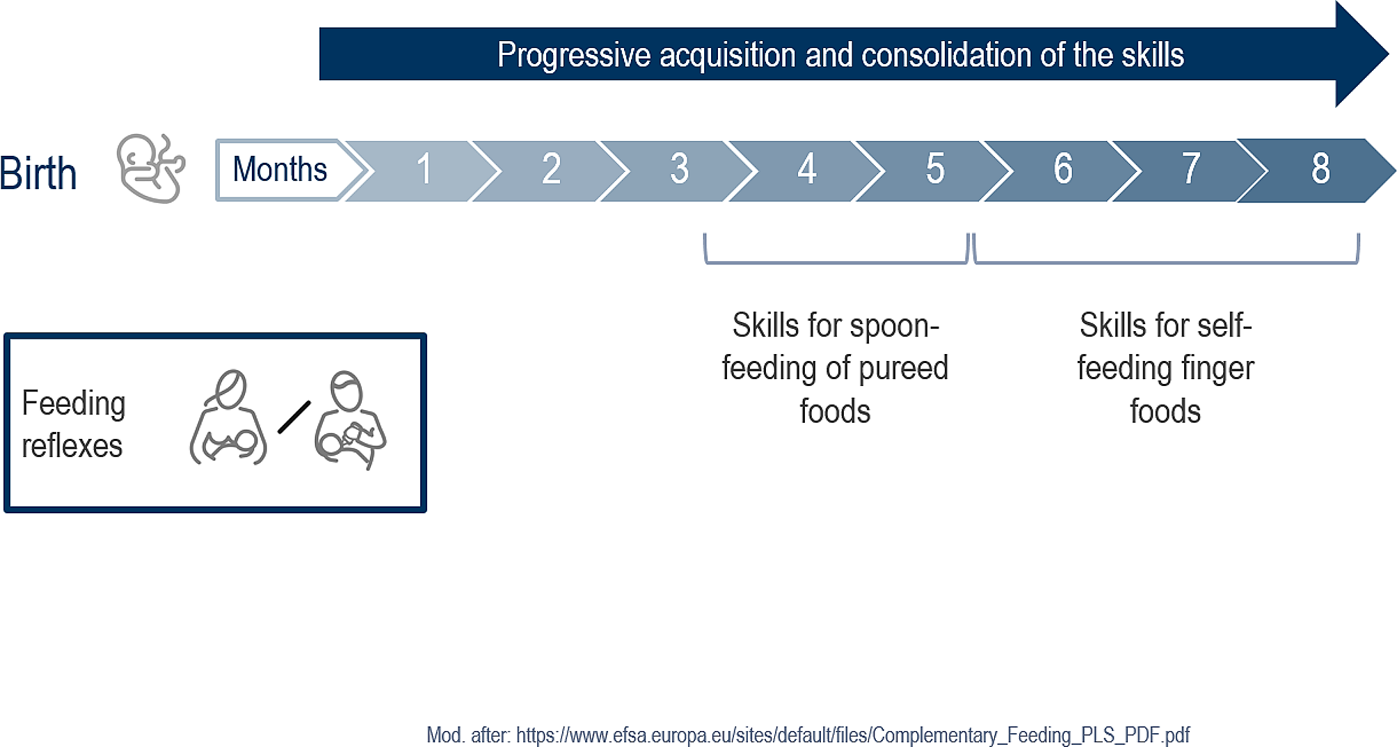 Development of eating skills in infants and toddlers from a neuropediatric perspective