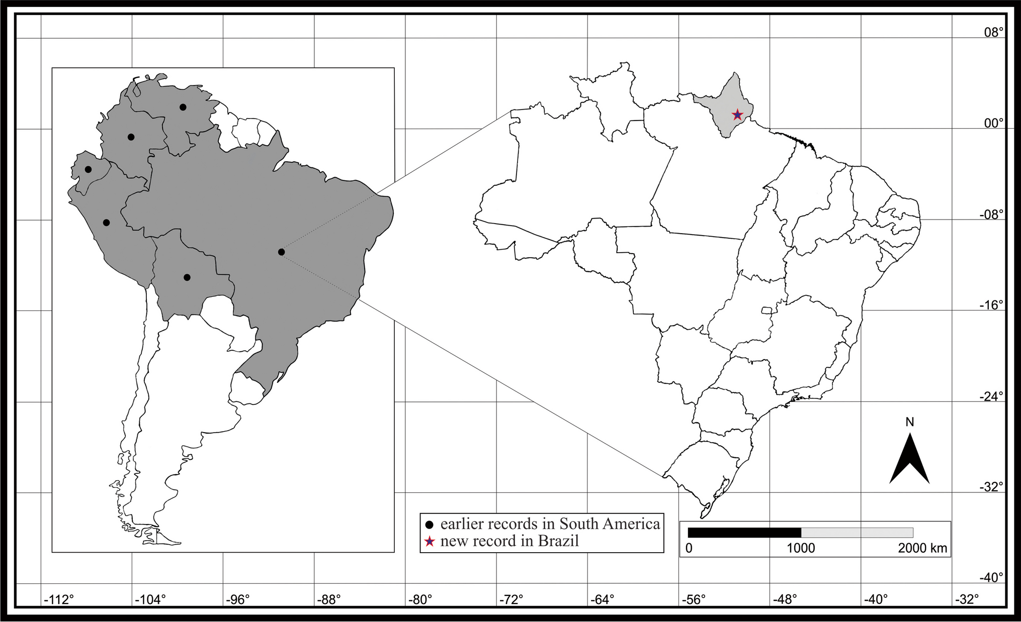 Melanoloma viatrix Hendel (Diptera, Richardiidae): New Pest of Pineapple Plantations in the North of Brazil