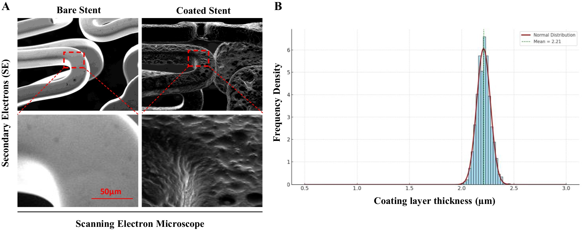 Enhanced Reendothelialization and Thrombosis Prevention with a New Drug-Eluting Stent
