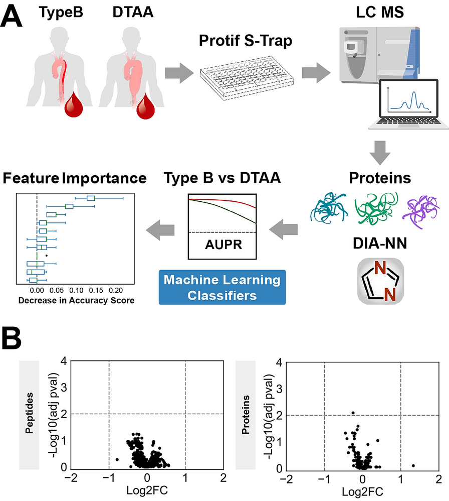 Differentiation between descending thoracic aortic diseases using machine learning and plasma proteomic signatures