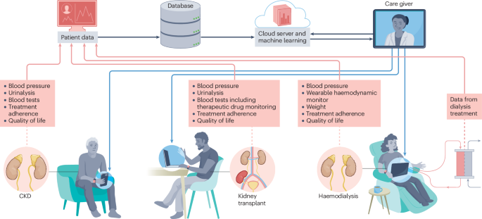 Home monitoring of patients with chronic kidney disease