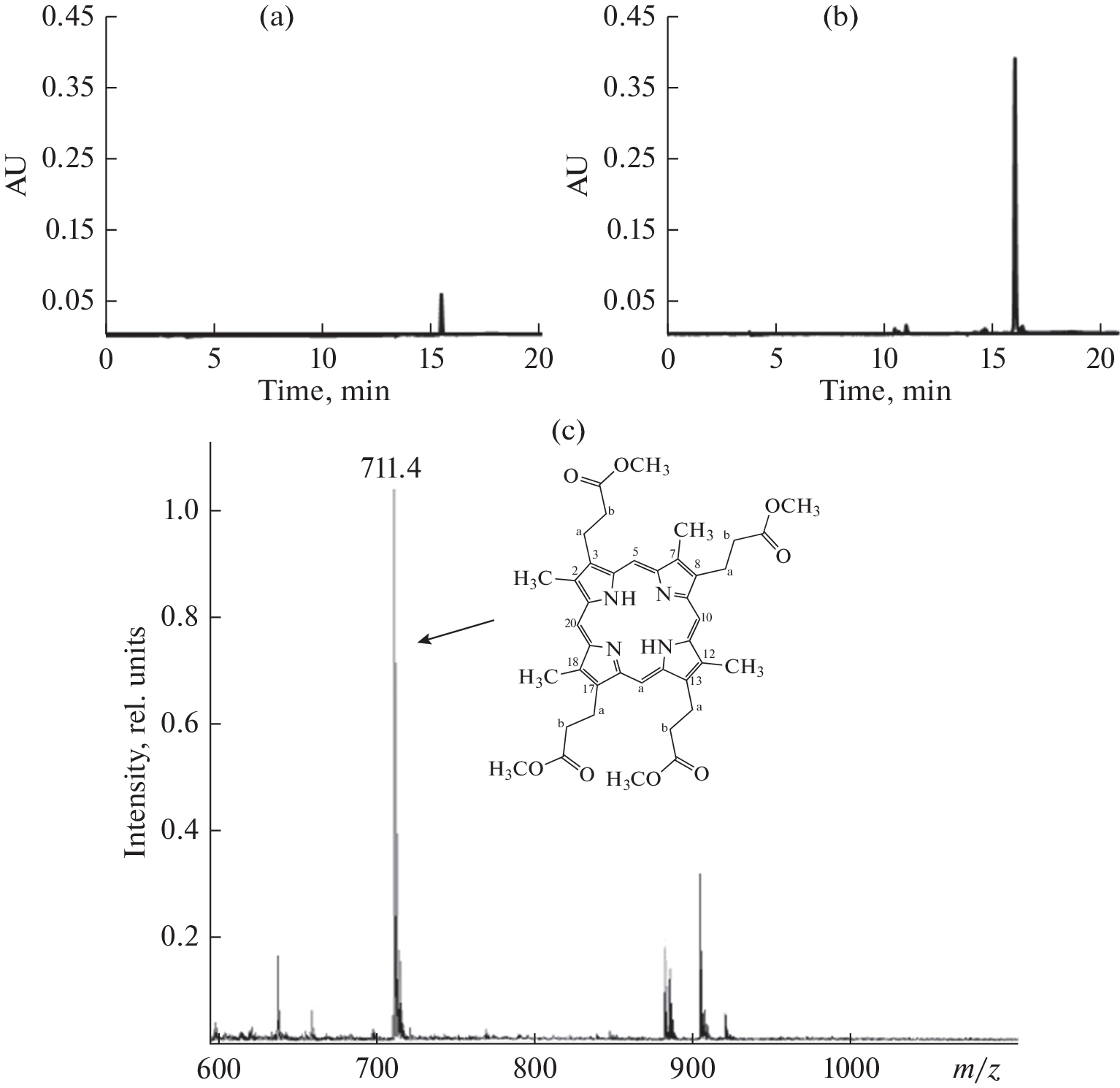 Methylation of Coproporphyrin as a Protective Mechanism in Mycobacteria under Adverse Conditions