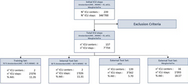Development and external validation of a machine learning model for the prediction of persistent acute kidney injury stage 3 in multi-centric, multi-national intensive care cohorts