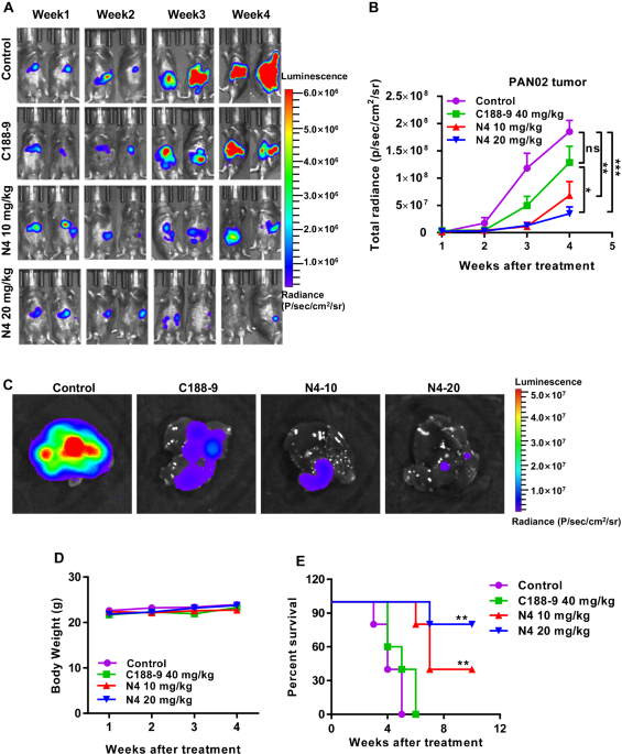 Correction: Targeting STAT3 by a small molecule suppresses pancreatic cancer progression