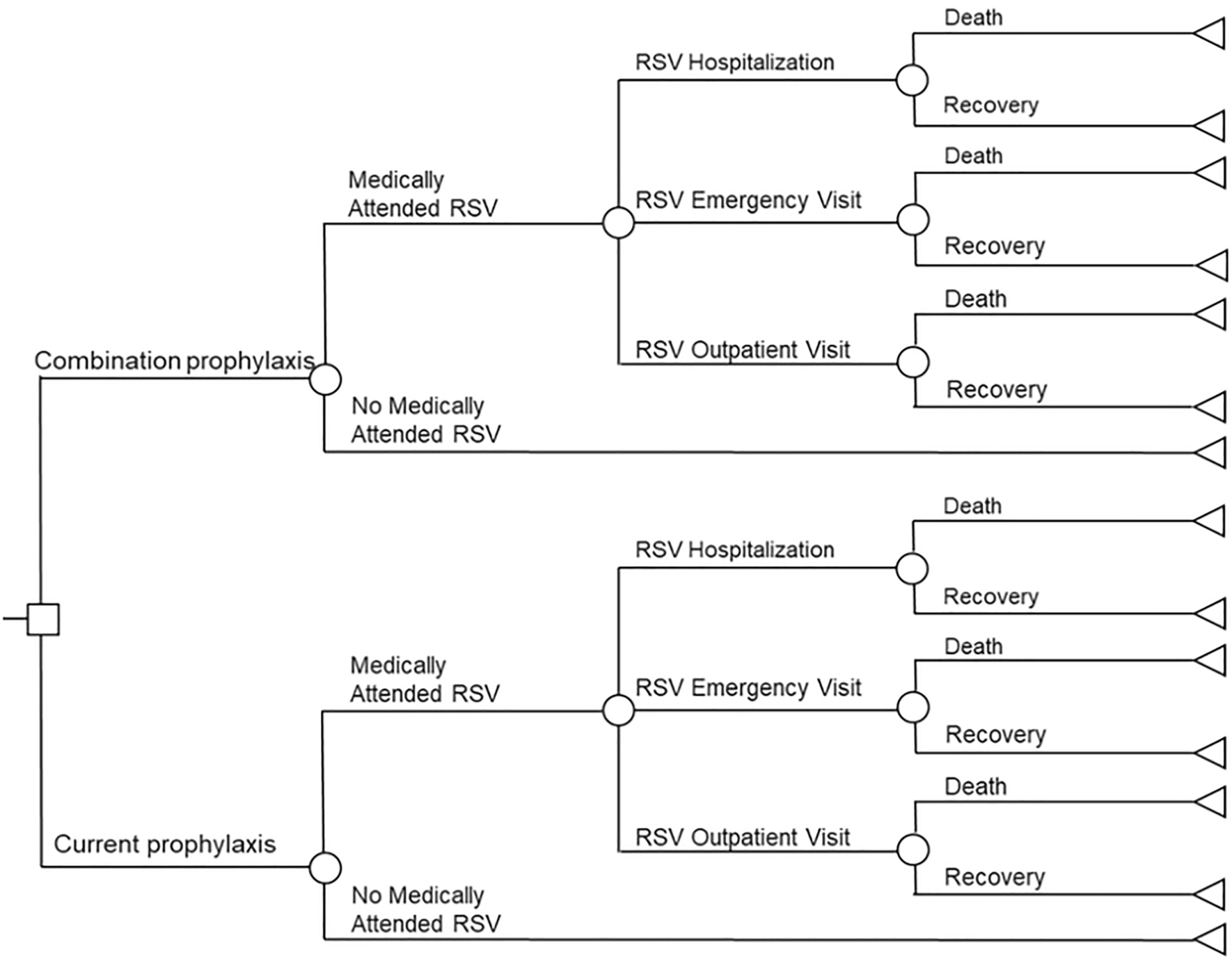 Cost-Effectiveness Analysis of Maternal Respiratory Syncytial Virus Vaccine in Protecting Infants from RSV Infection in Japan