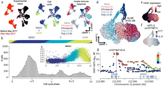 Genetic association mapping leveraging Gaussian processes