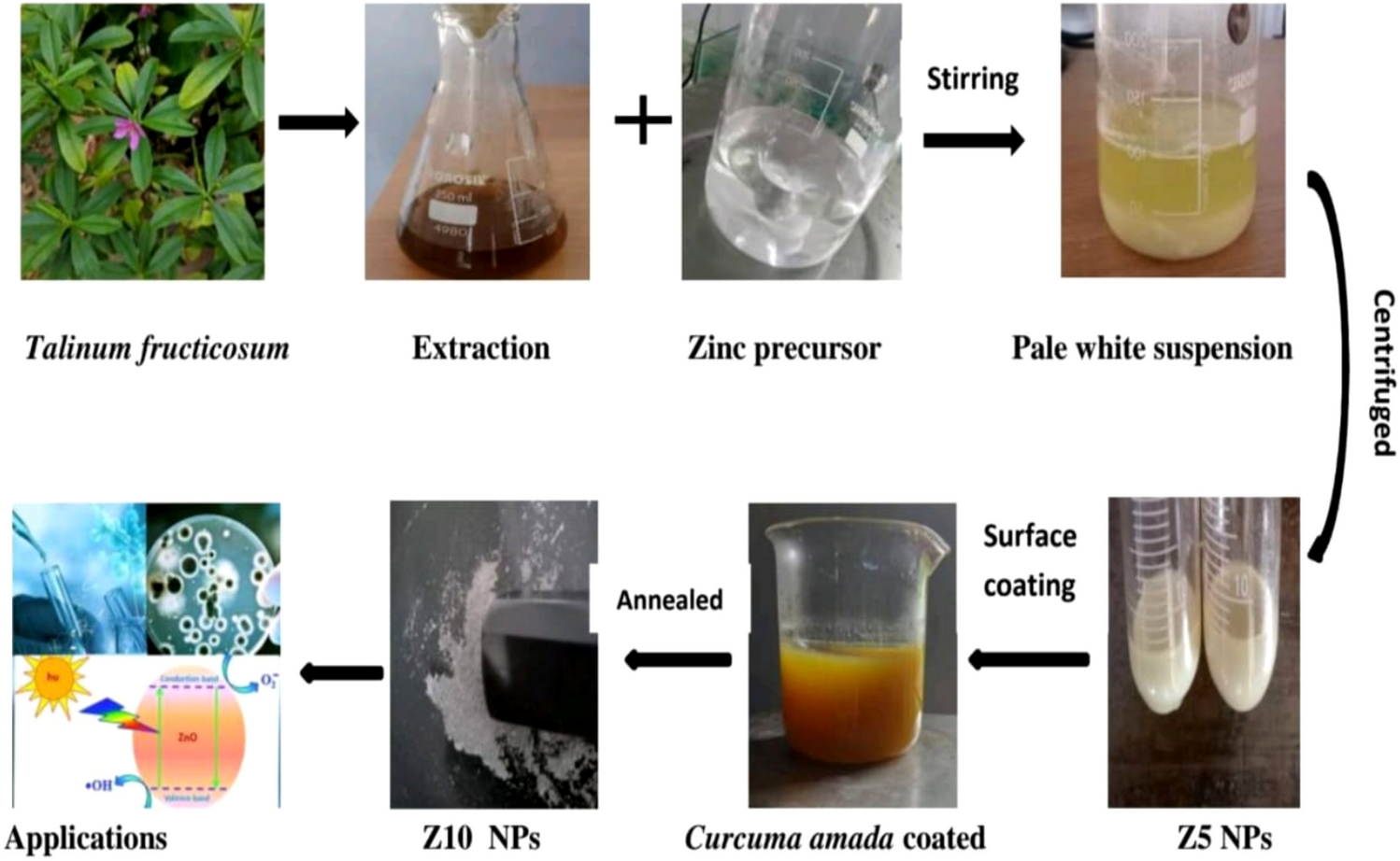 Synergistic effects of Curcuma amada functionalized ZnO nanostructures: bioactivity, catalytic, photocatalytic, and supercapacitor application