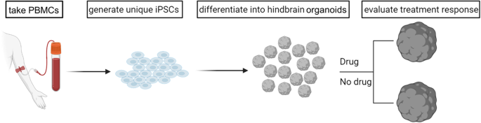 iPSC-derived hindbrain organoids to evaluate escitalopram oxalate treatment responses targeting neuropsychiatric symptoms in Alzheimer’s disease