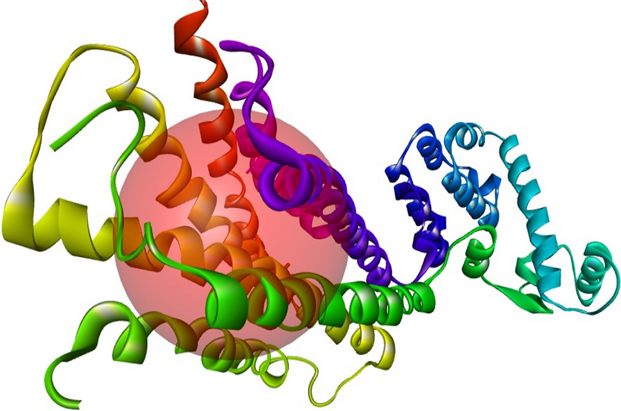 Targeting small druggable compounds against 3RZE histamine H1 receptor as potential of anti-allergic drug applying molecular modeling approach