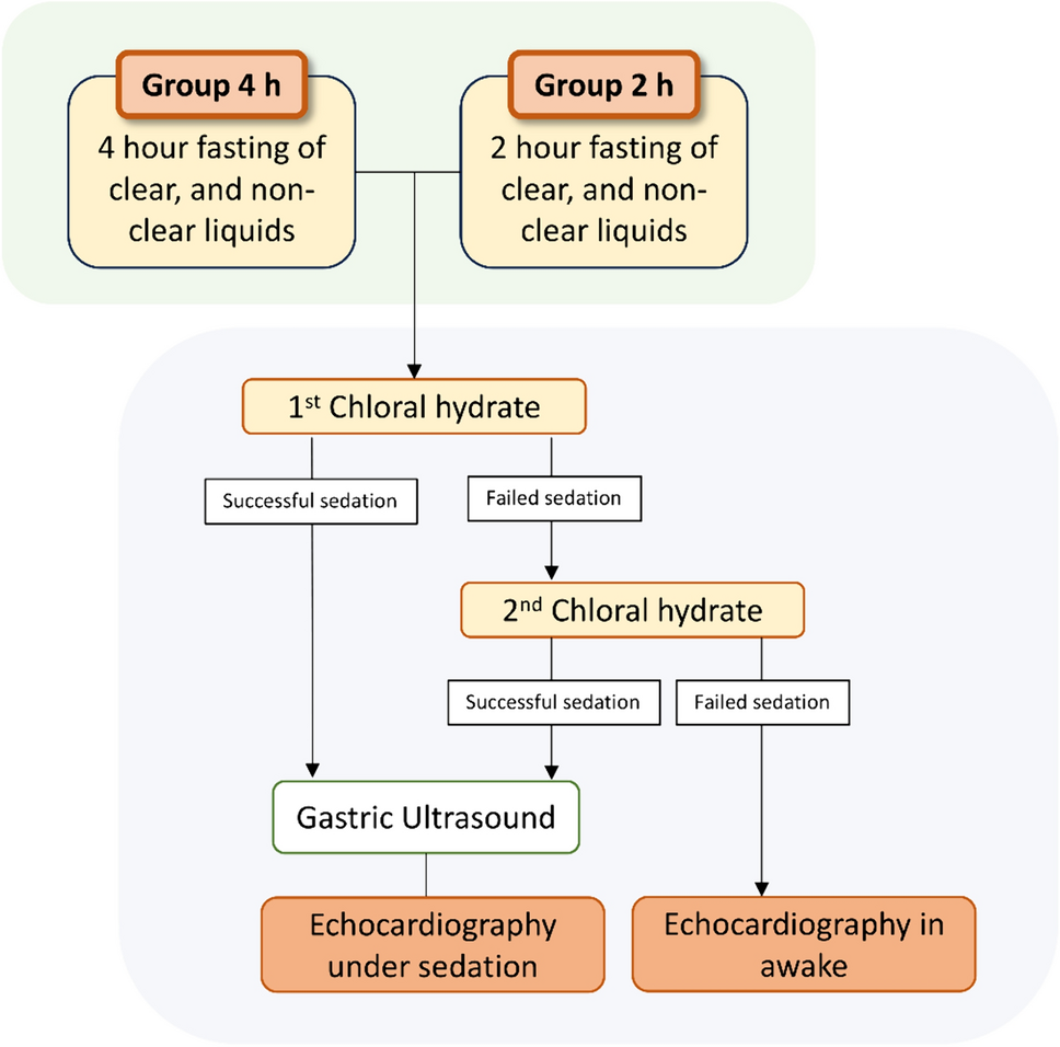 A comparative study using gastric ultrasound to evaluate the safety of shortening the fasting time before pediatric echocardiography: a randomized controlled non-inferiority study