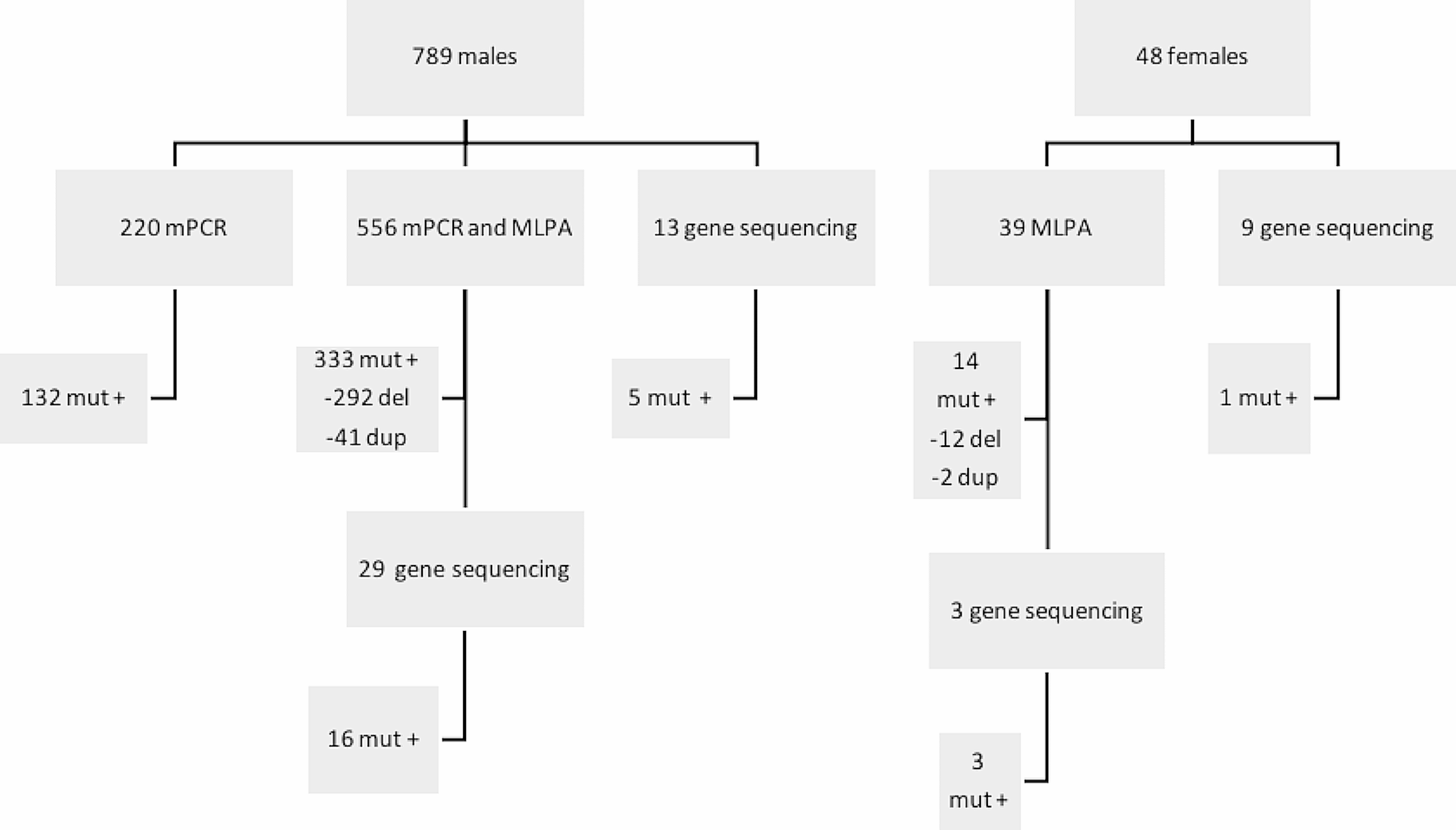 Investigation of genotype-phenotype and familial features of Turkish dystrophinopathy patients