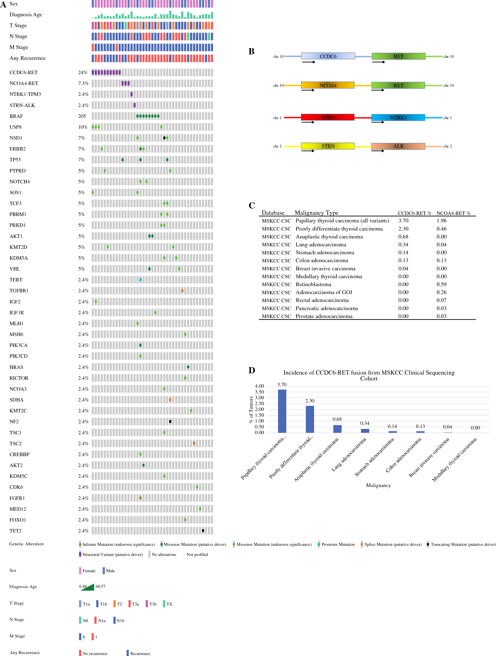 Defining the Genomic Landscape of Diffuse Sclerosing Papillary Thyroid Carcinoma: Prognostic Implications of RET Fusions