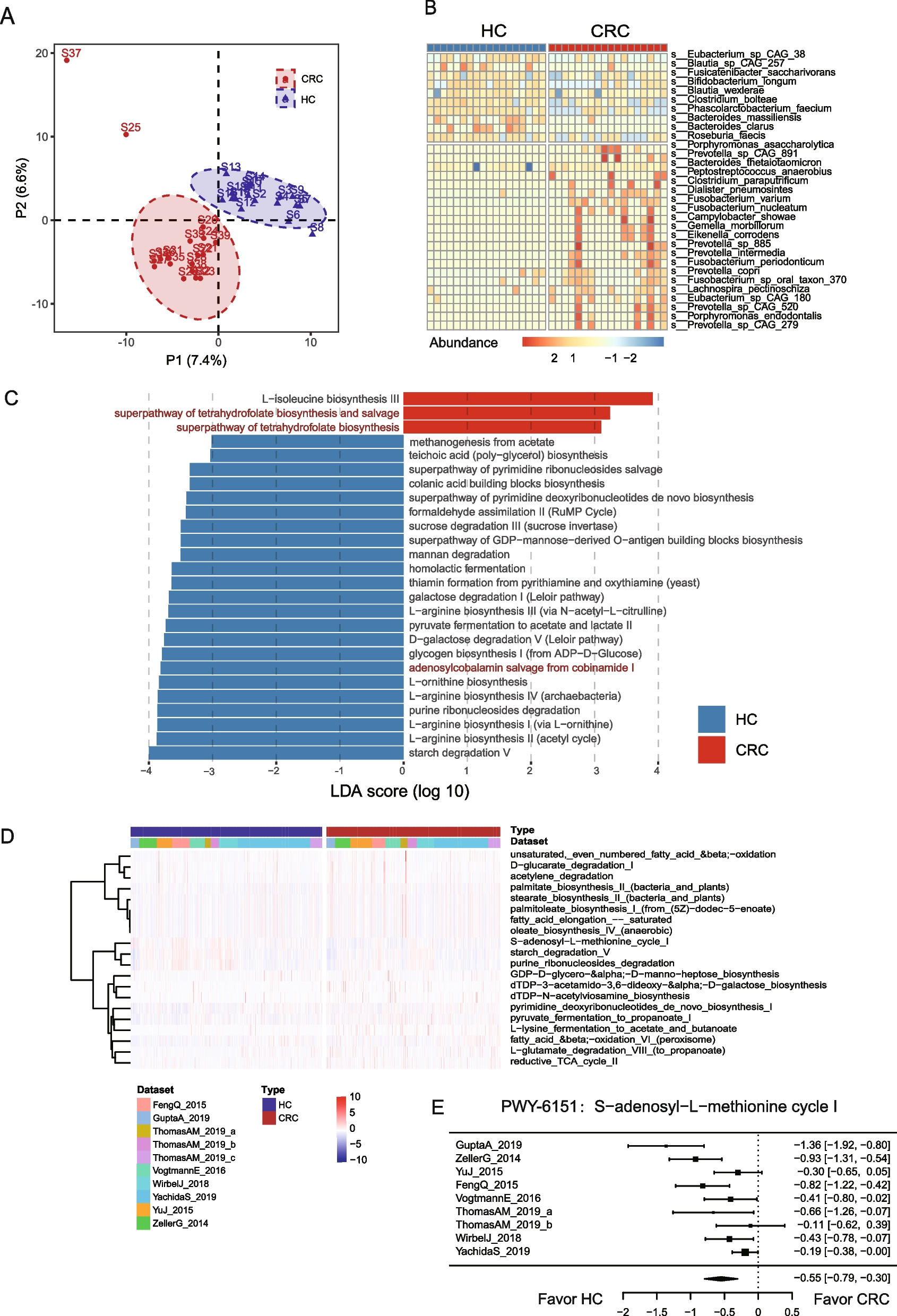 Colorectal cancer microbiome programs DNA methylation of host cells by affecting methyl donor metabolism
