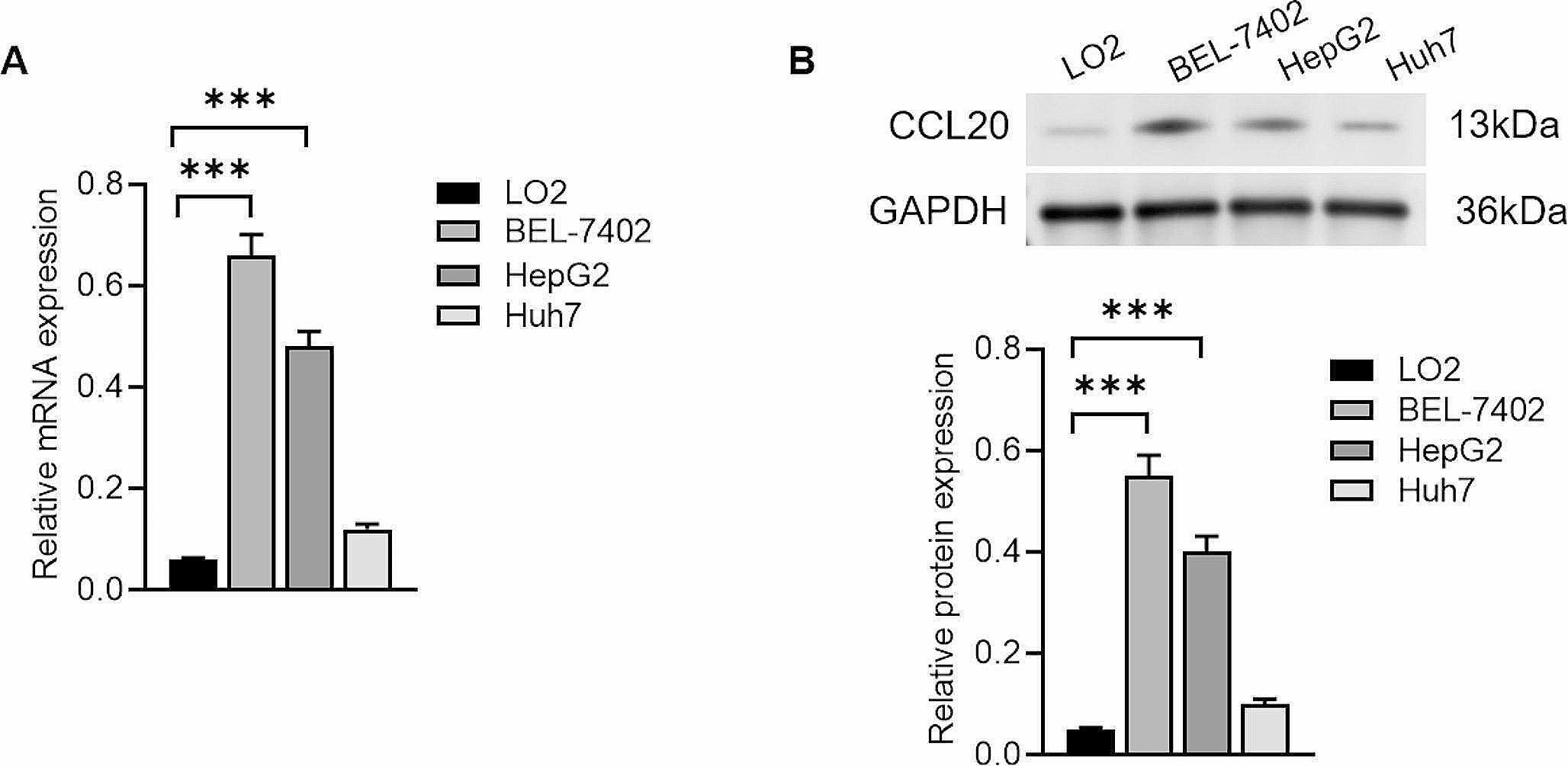 Multi-omics analysis reveals mechanism of Schisandra chinensis lignans and acteoside on EMT in hepatoma cells via ERK1/2 pathway