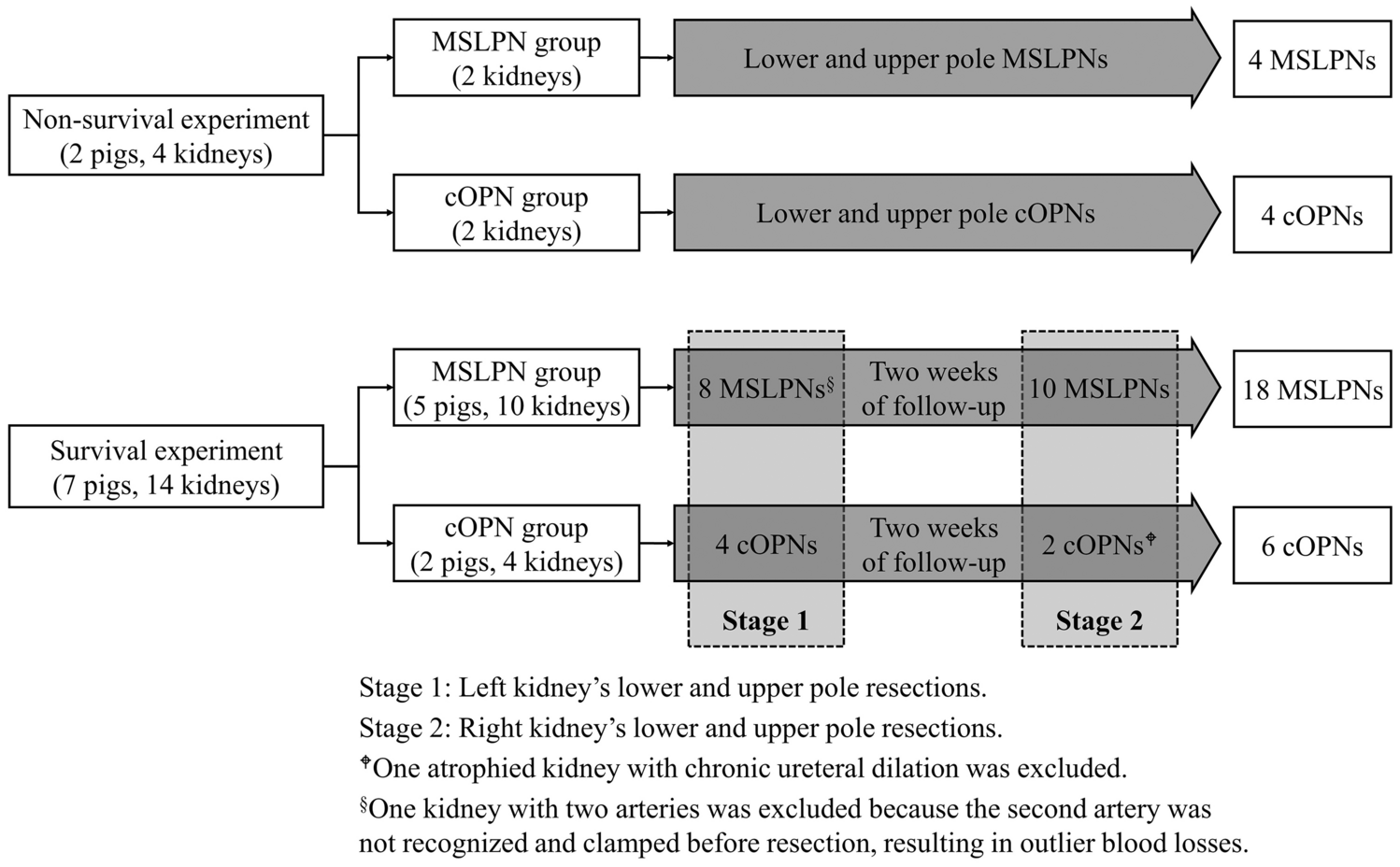 Microwave Scissors-Based Sutureless Laparoscopic Partial Nephrectomy Versus Conventional Open Partial Nephrectomy in a Porcine Model: Usefulness and Complications