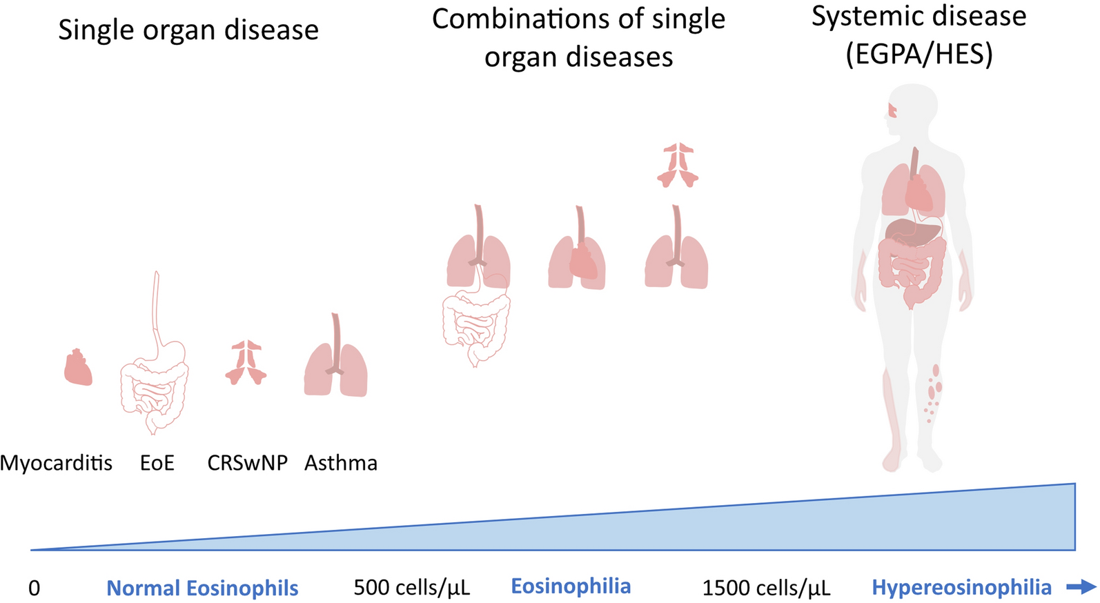 Anti-IL-5 Pathway Agents in Eosinophilic-Associated Disorders Across the Lifespan