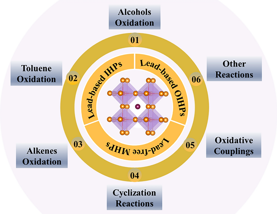 Recent progress of metal halide perovskite materials in heterogeneous photocatalytic organic reactions