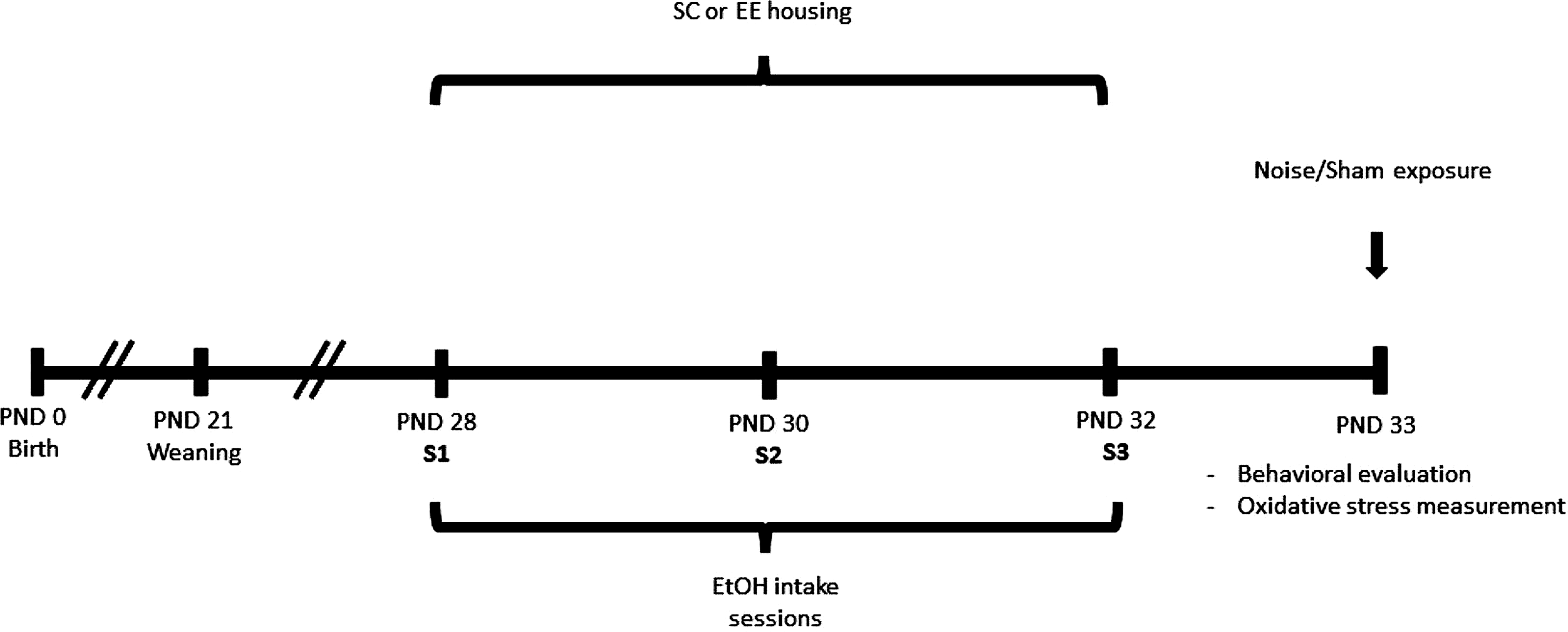 Assessment of Hippocampal-Related Behavioral Changes in Adolescent Rats of both Sexes Following Voluntary Intermittent Ethanol Intake and Noise Exposure: A Putative Underlying Mechanism and Implementation of a Non-pharmacological Preventive Strategy