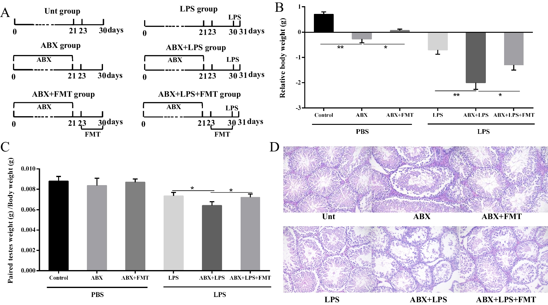 The Gut Microbiota Contributes to the Development of LPS-Induced Orchitis by Disrupting the Blood-Testosterone Barrier in Mice