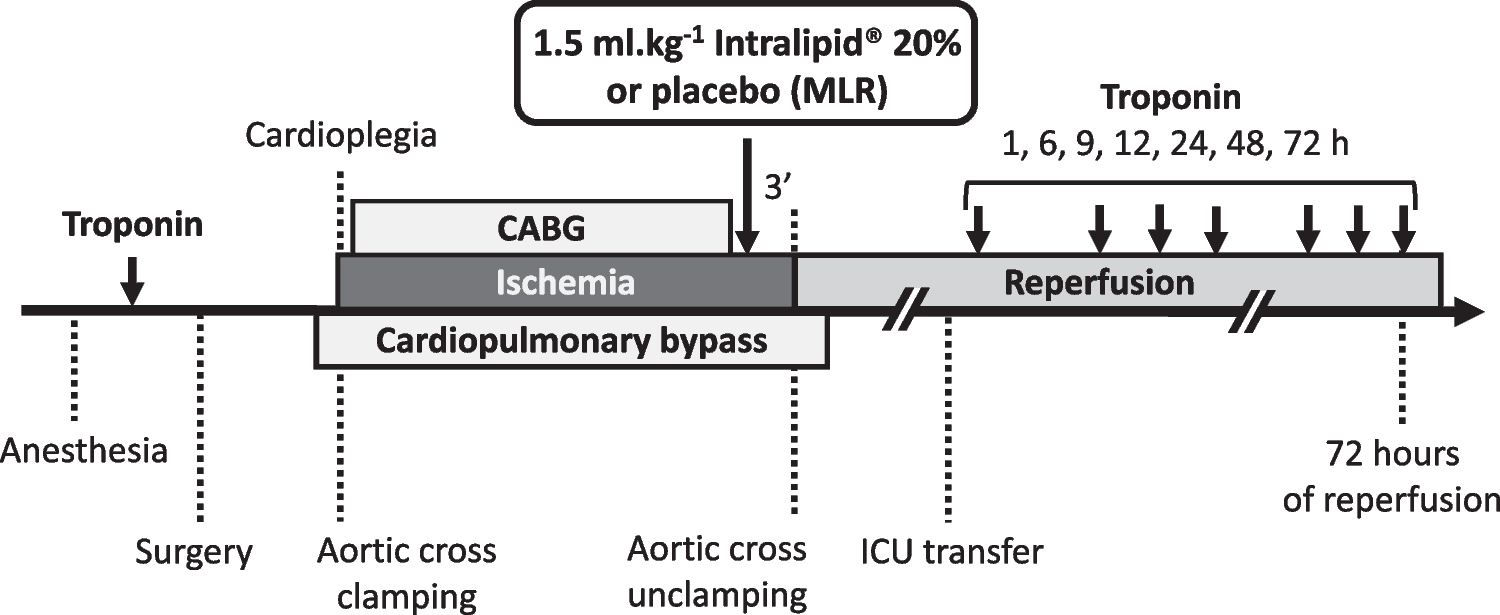 Cardioprotection with Intralipid During Coronary Artery Bypass Grafting Surgery on Cardiopulmonary Bypass: A Randomized Clinical Trial